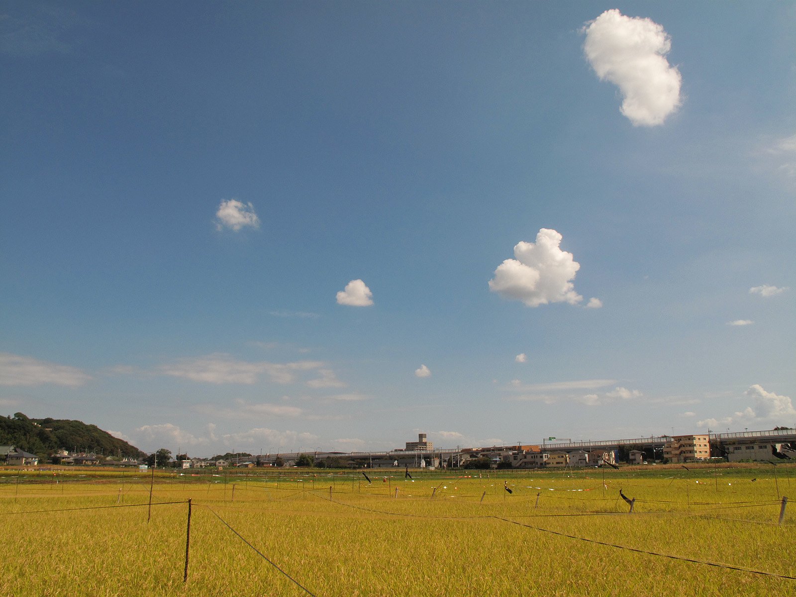 秋の空
