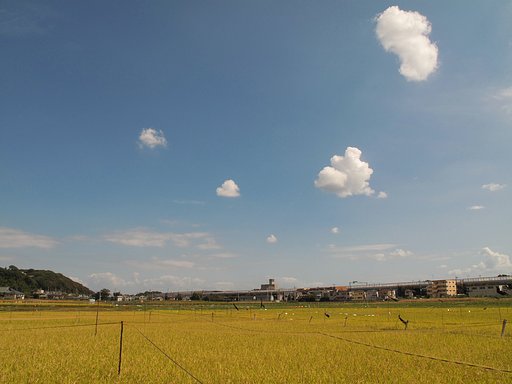秋の空