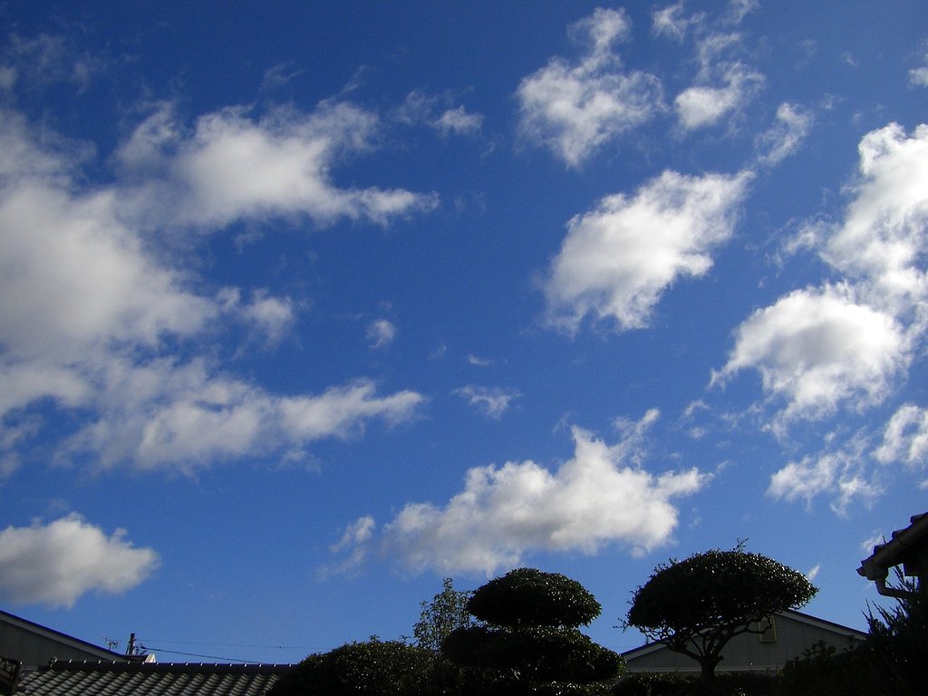千切れ雲