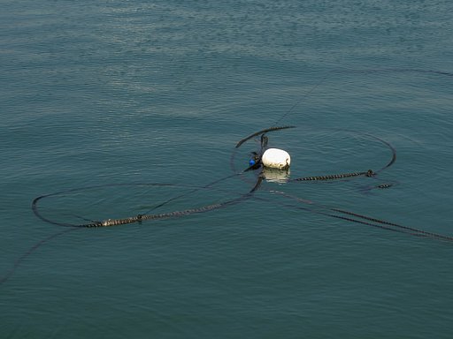 ロープと浮