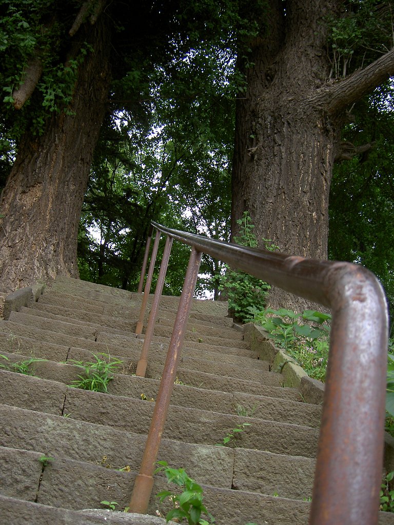 水神社