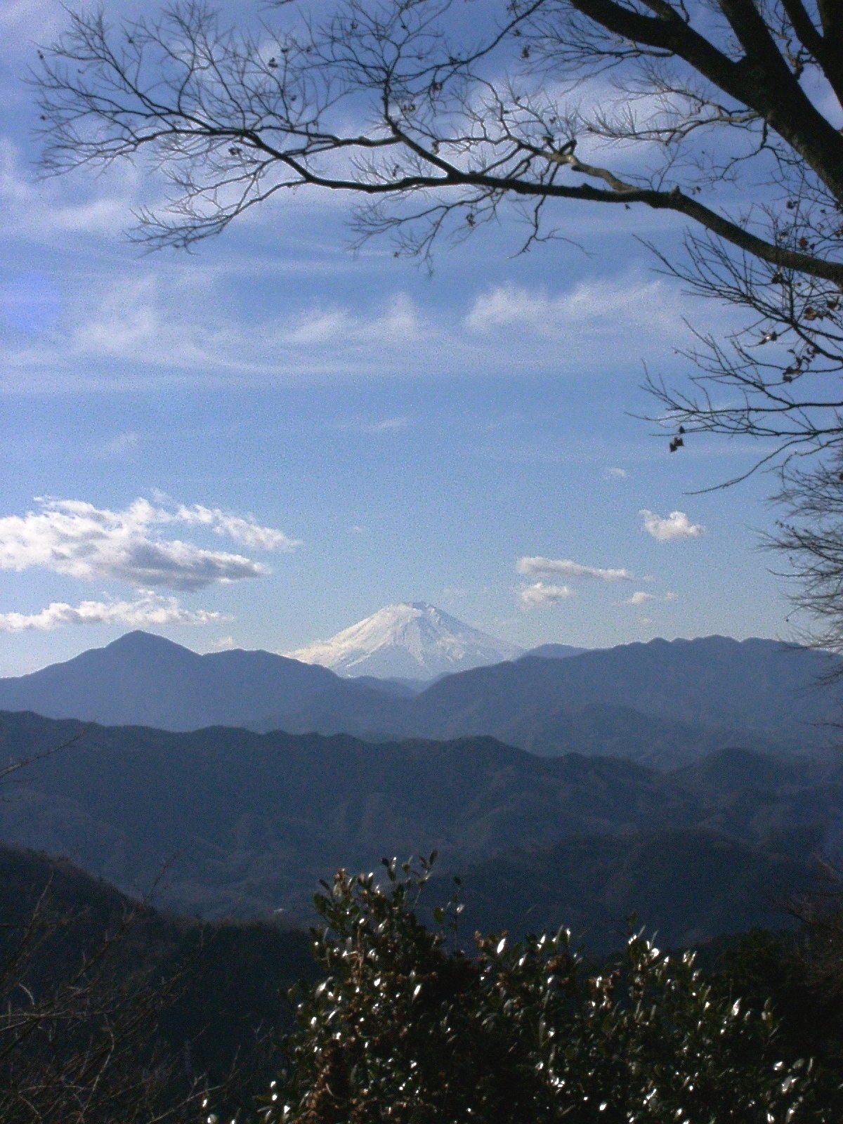 ▲《番外》昨年の高尾山展望台から　　　　　　