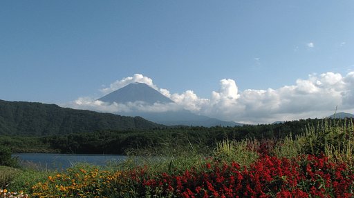 夏の富士