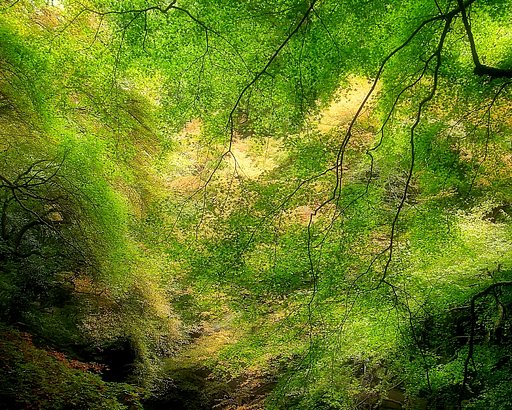 【秋】　繊細