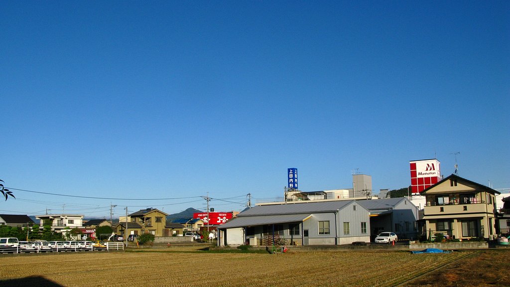 秋晴れに