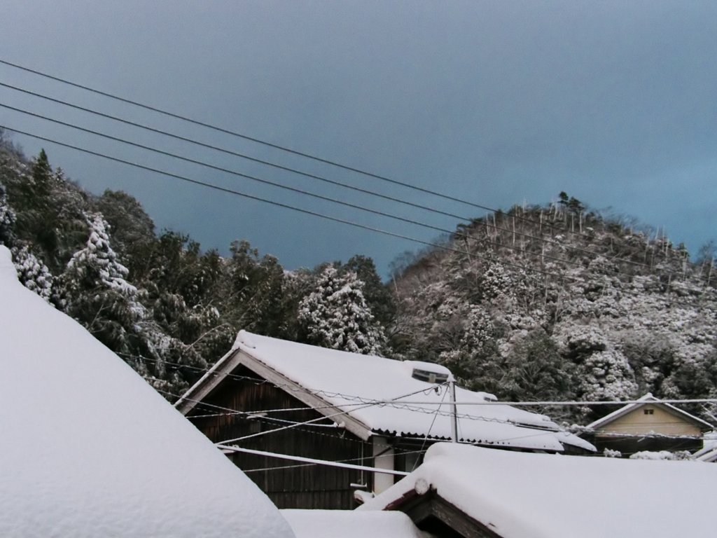 積雪30cmぬ