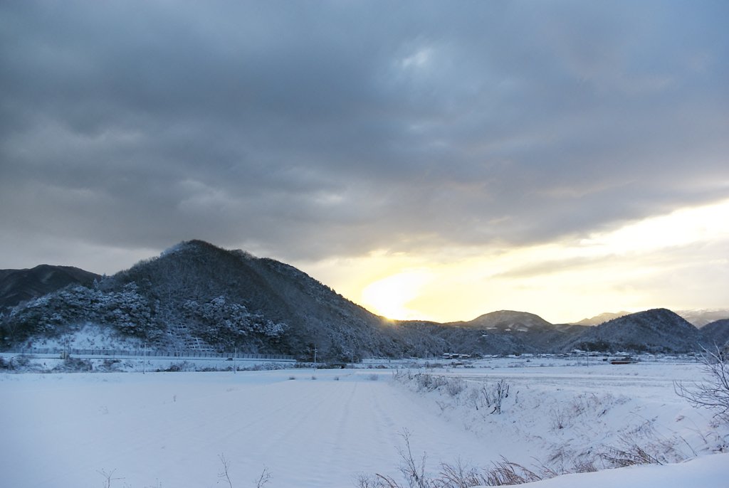 雪の中の朝日の出!