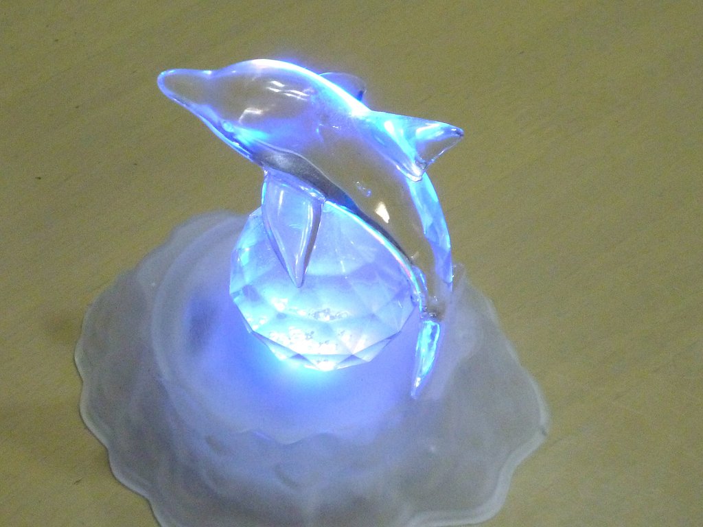 イルカ♪