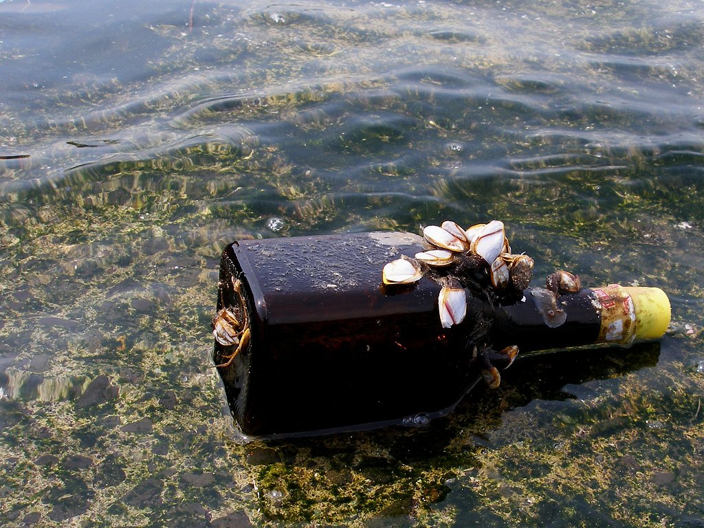 [流]着いて