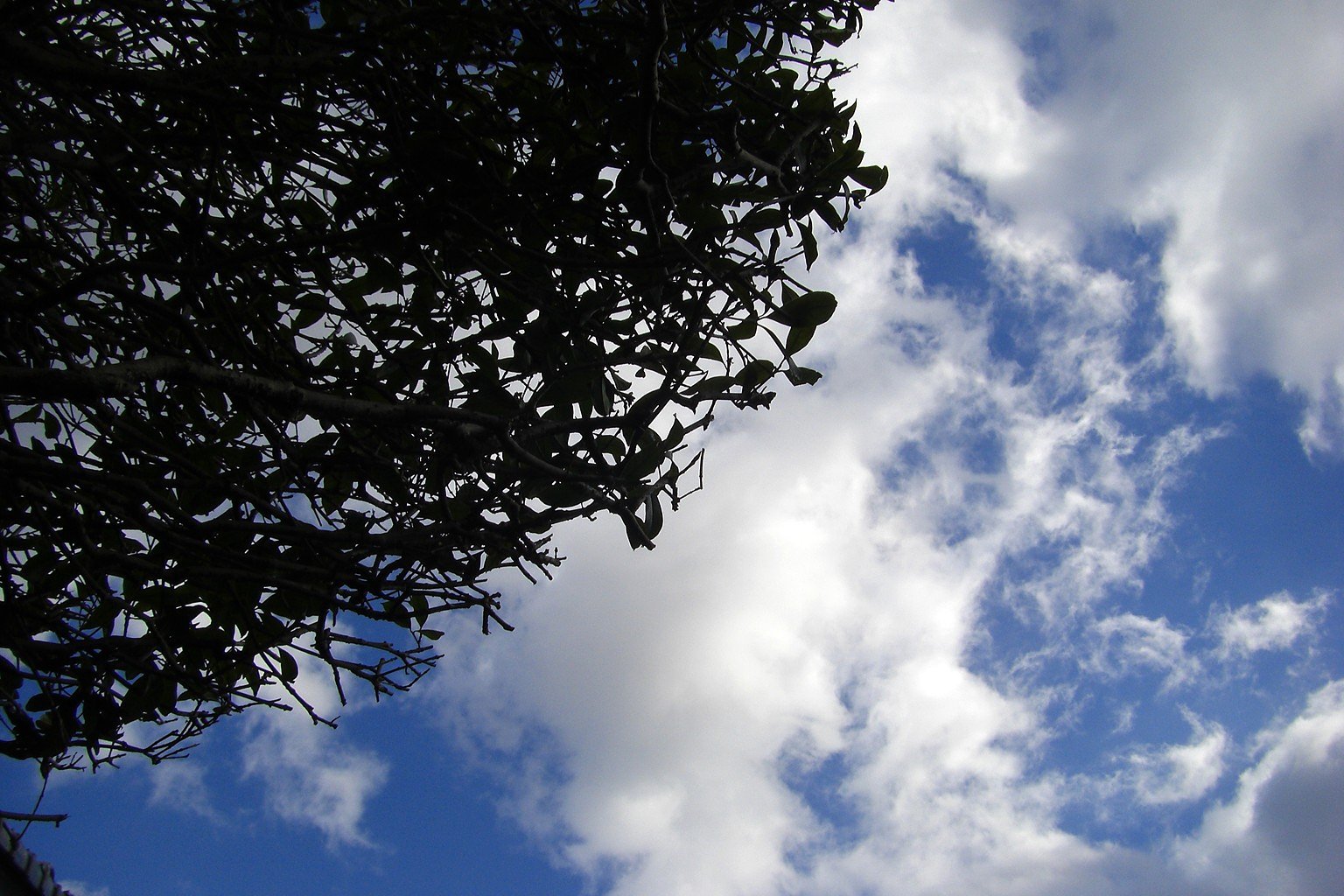 千切れ雲