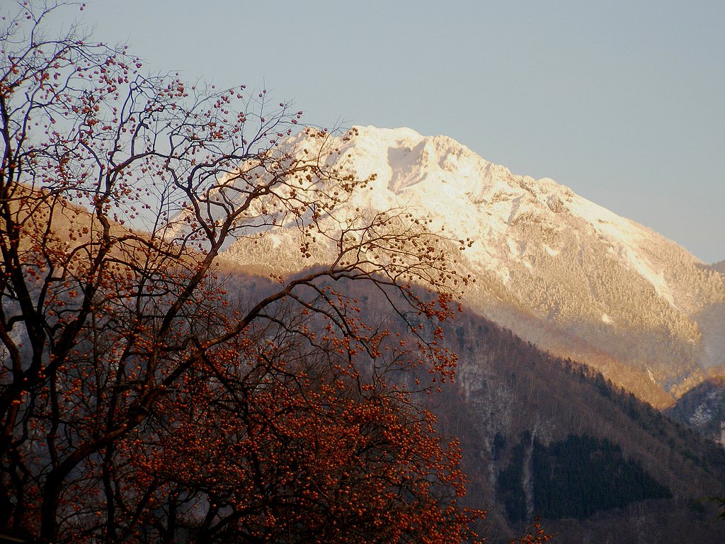 [秋]柿と雪山