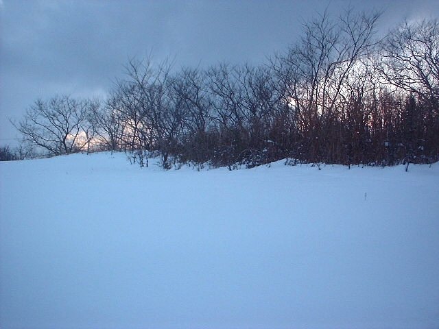 真冬