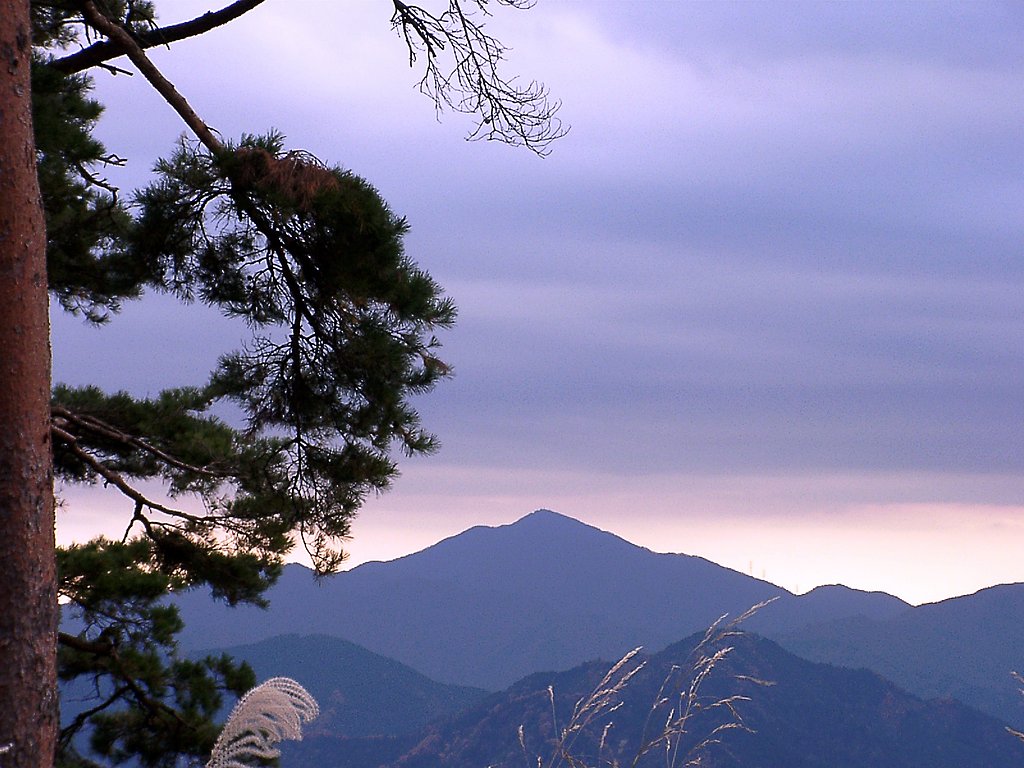 ▲高尾山の晩秋-30＝最終回
