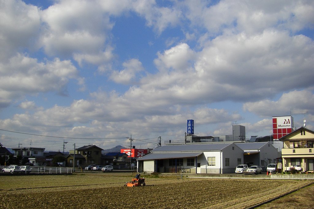 暖かい冬景色