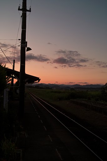久々のDP2