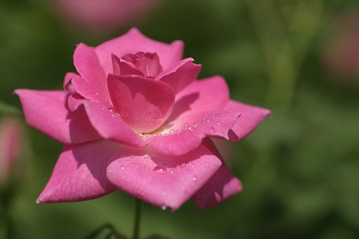 水晶を飾って