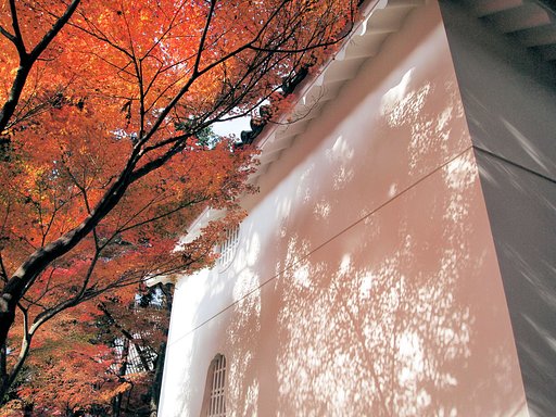 紅葉