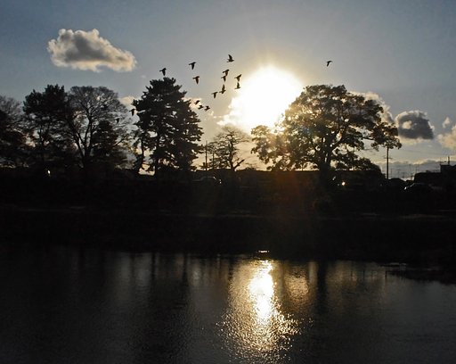 夕景