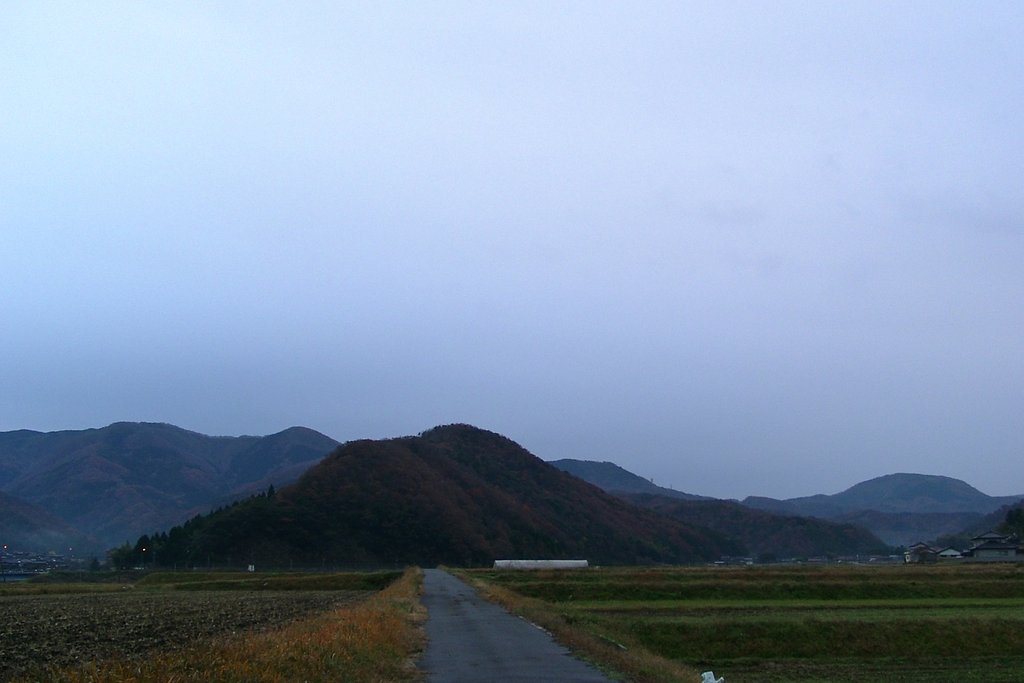今朝は雨がポツリポツリ!