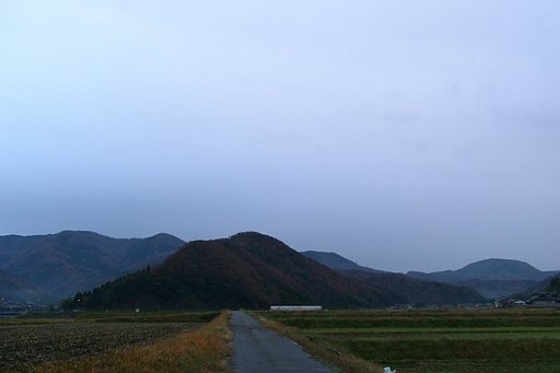 今朝は雨がポツリポツリ!