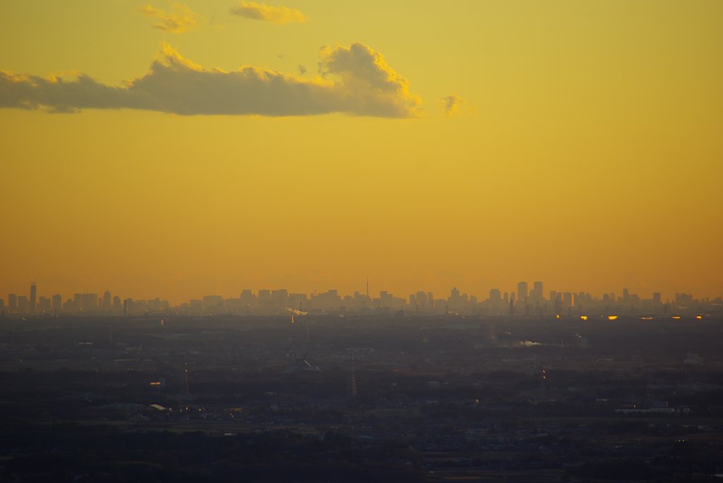 東京ビル群の夕景