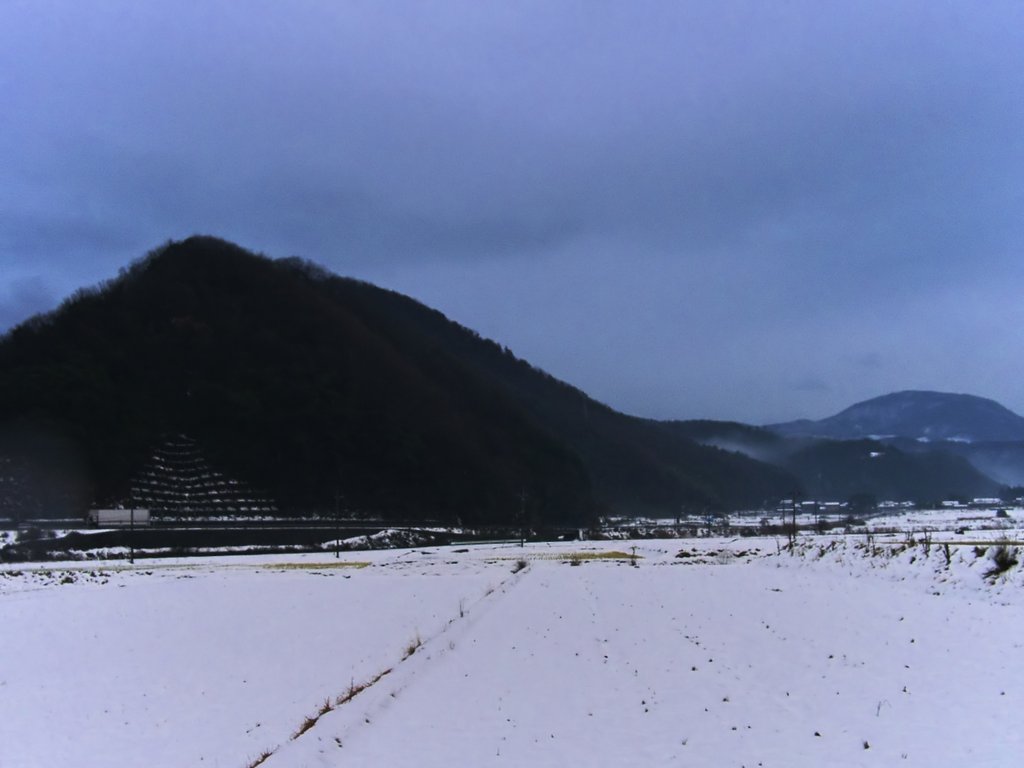 雨降りの朝!