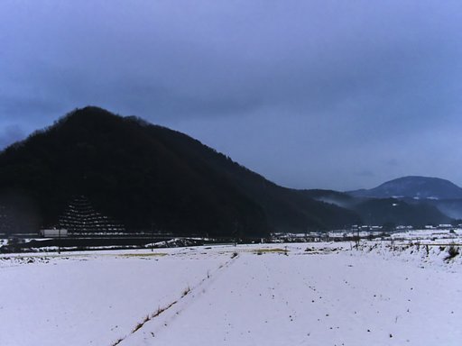 雨降りの朝!