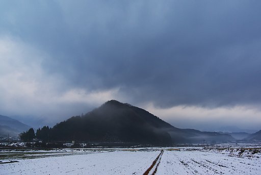 深い霧に包まれた朝!