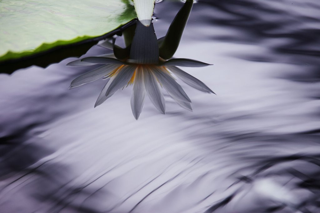水鏡