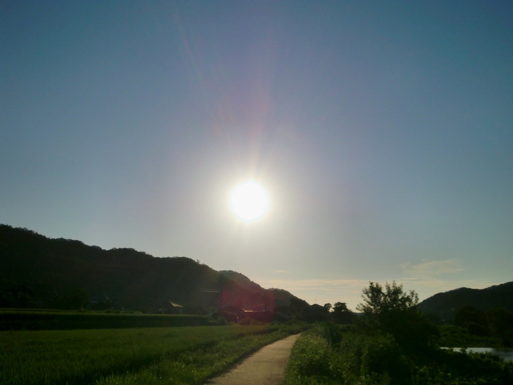 西空は素晴らしい快晴!