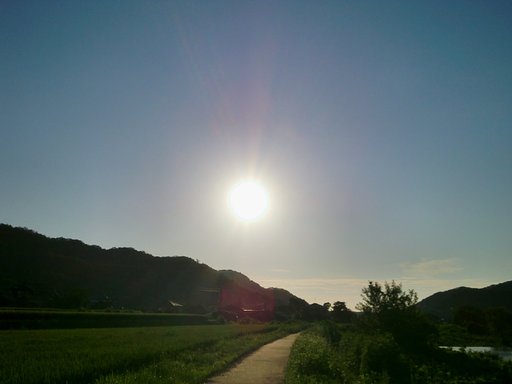 西空は素晴らしい快晴!