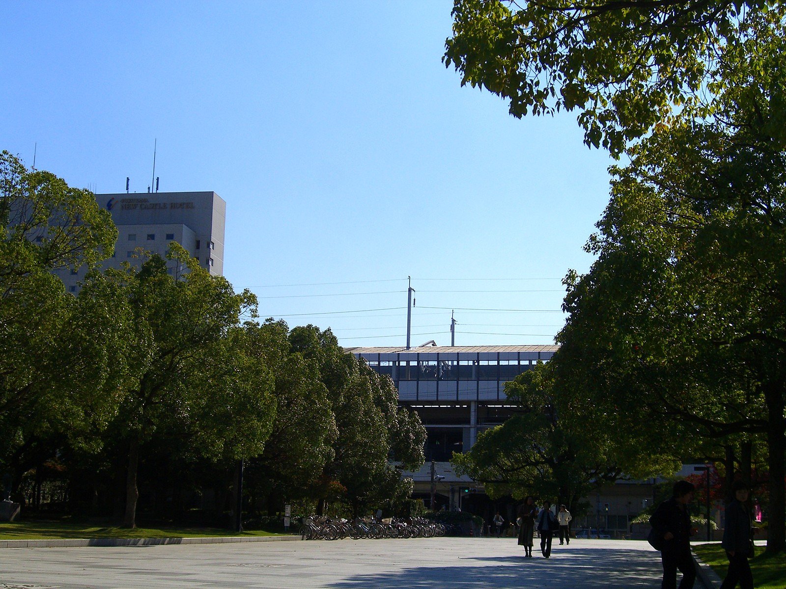 秋晴れ