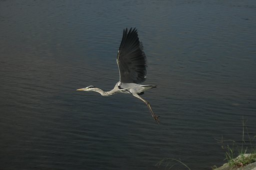 【流】緩やかに流れるように