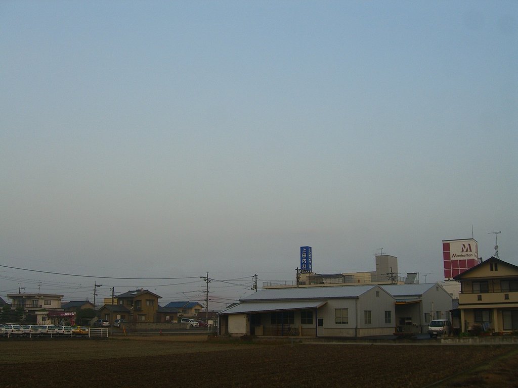 朝霧