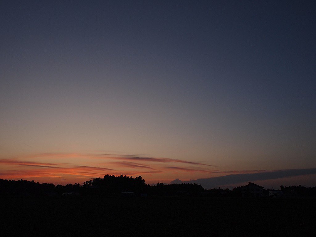 夕日・・