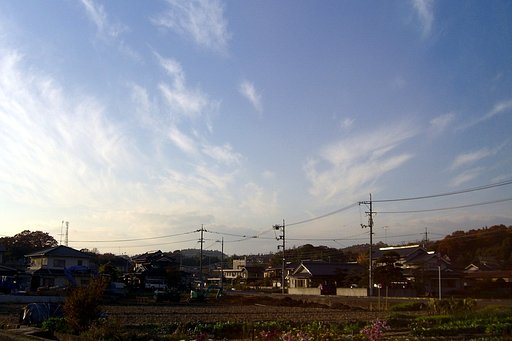 斜陽に