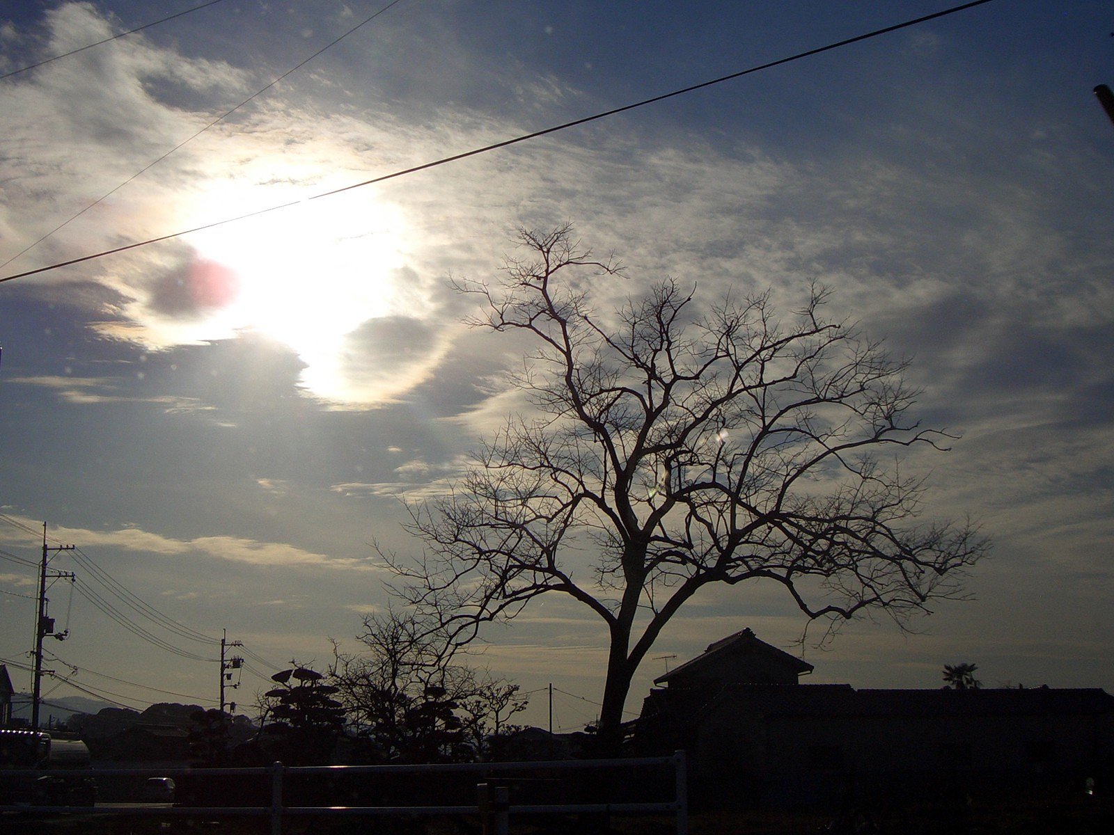夕暮れの冬姿