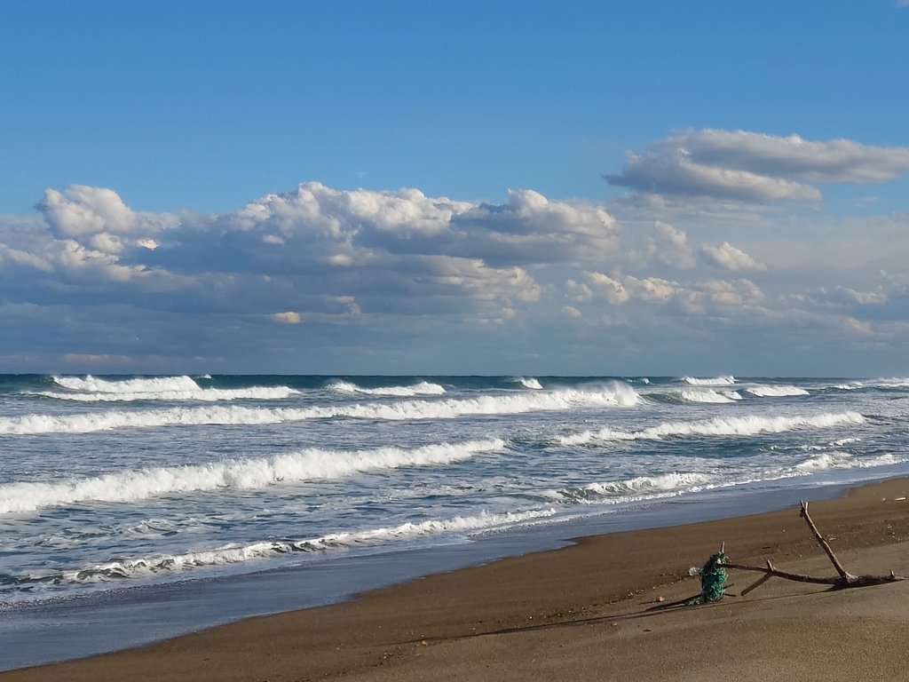 冬の海