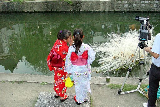 花七夕（二）