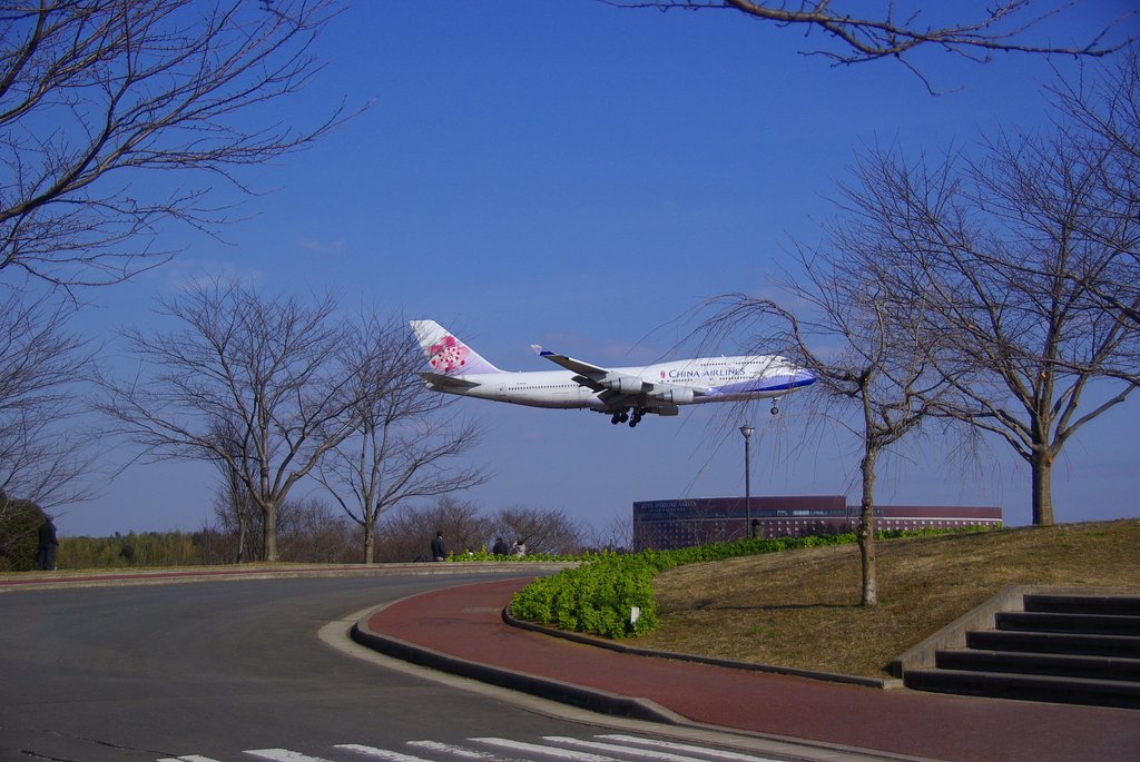 成田 さくらの山公園の風景