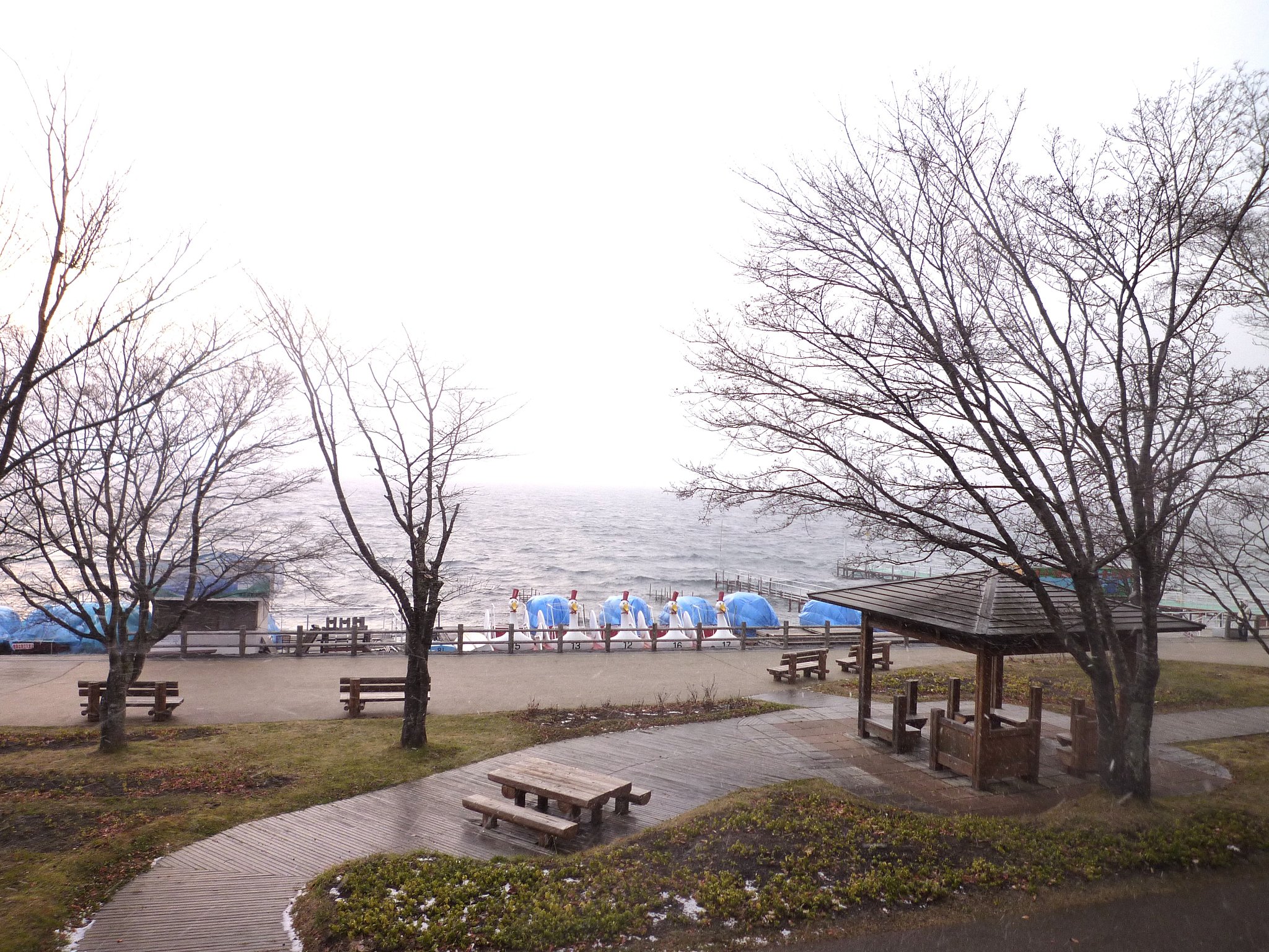冬の湖