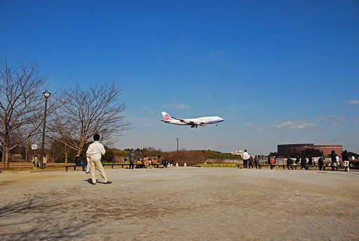 ヒコーキ見物