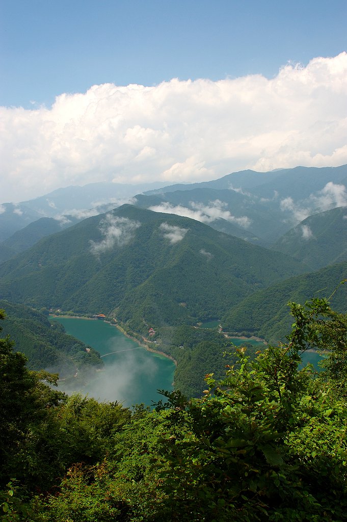 【緑】緑の水がめ