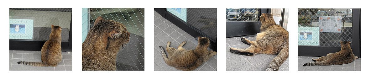 入れてよ〜