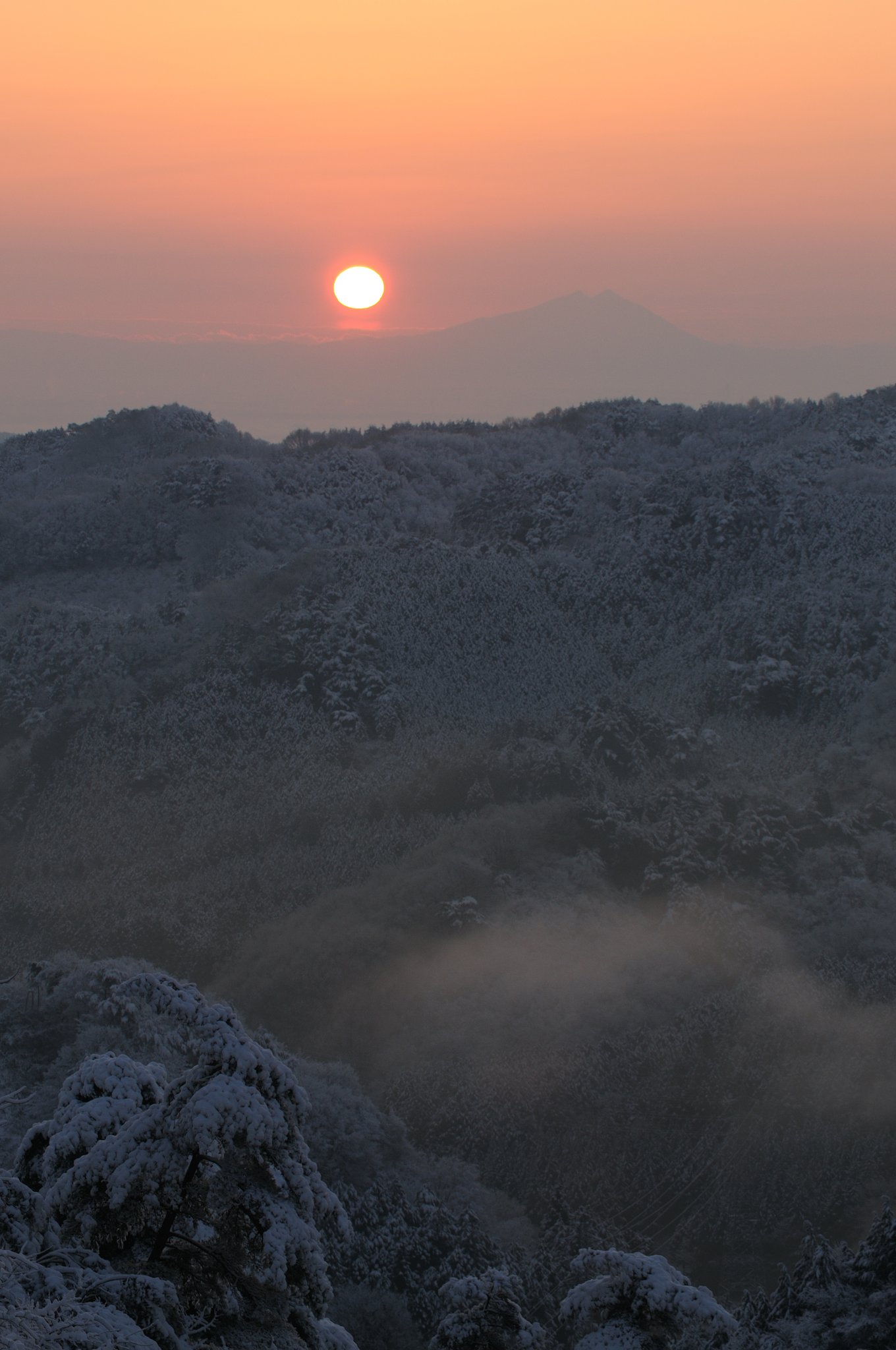 雪の朝