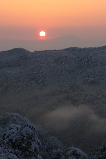 雪の朝