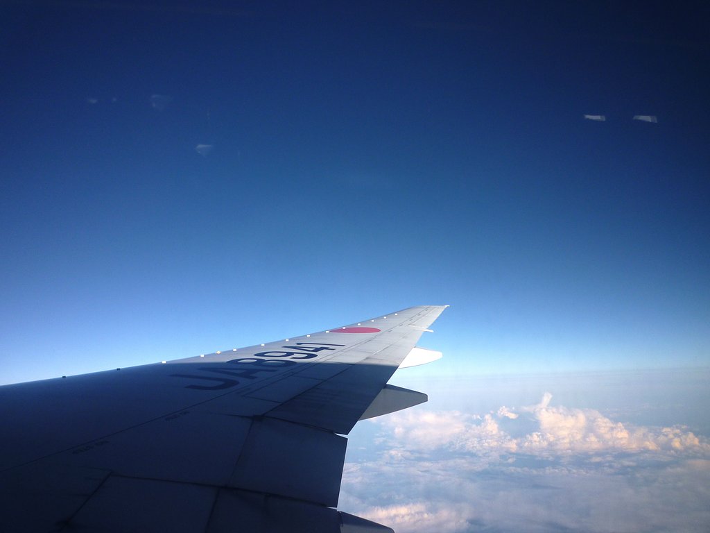 機体の羽