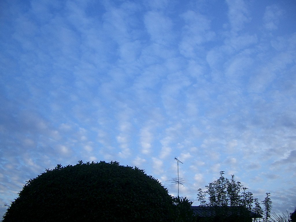 【流】綿雲