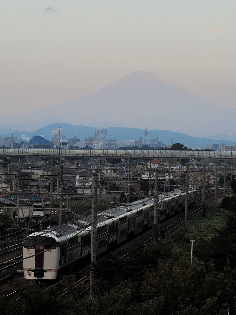 ホリデー快速