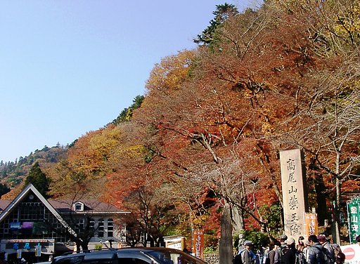 ▲高尾山の晩秋-03